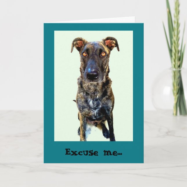 Cute Dog Greeting Card (Front)