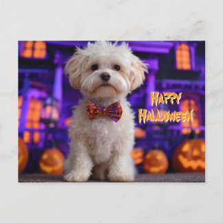 Cute Dog Happy Halloween Haunted House Postcard