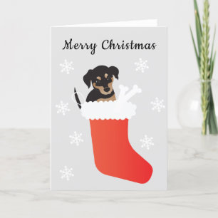 Cute Dog In A Stocking Snowflakes Holiday Card