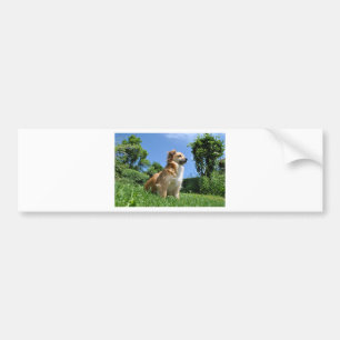 Cute dog in grass bumper sticker