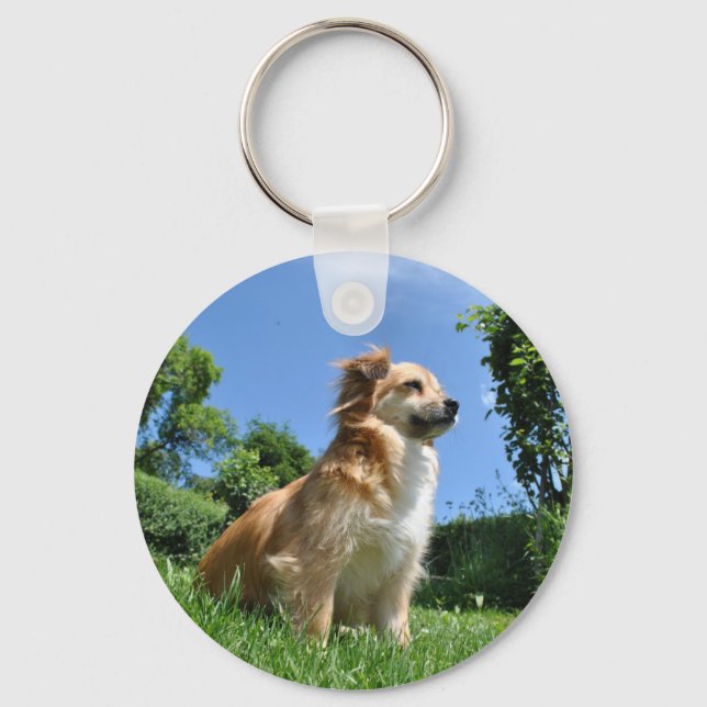 Cute dog in grass key ring (Front)