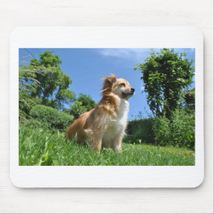 Cute dog in grass mouse pad