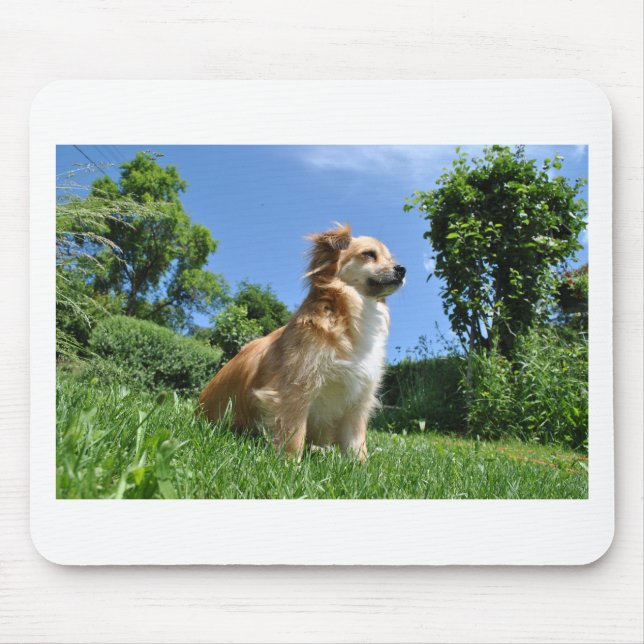 Cute dog in grass mouse pad (Front)