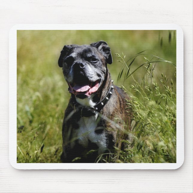 Cute dog in grass mouse pad (Front)