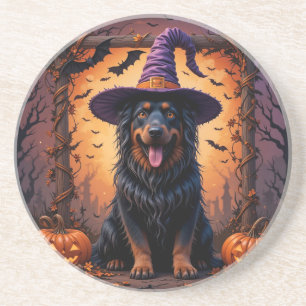 Cute Dog in Witch Hat Surrounded by Pumpkins Coaster