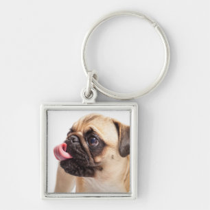 Cute Dog key chain 1
