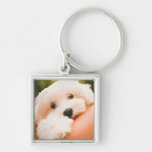 Cute Dog key chain 9