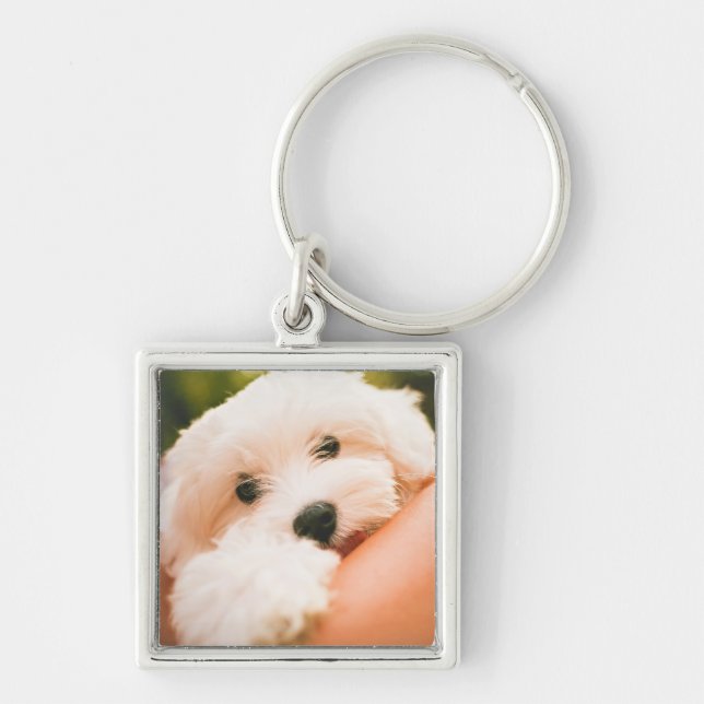 Cute Dog key chain 9 (Front)