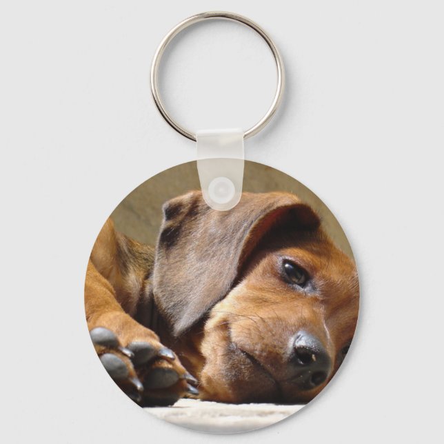 Cute dog key ring (Front)