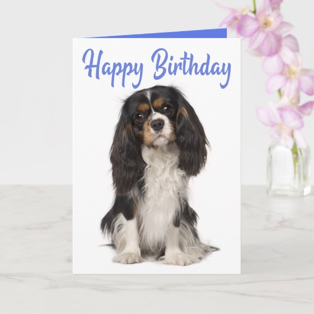 Cute Dog King Charles Cavalier Spaniel Birthday Card (Orchid)