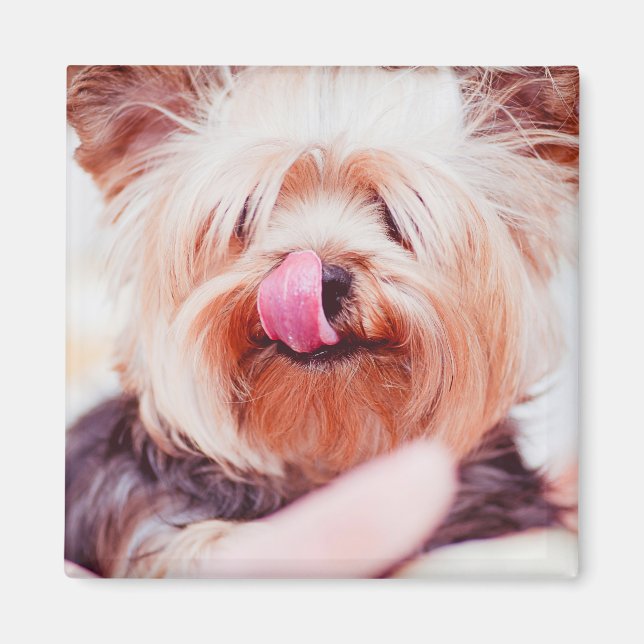 Cute Dog magnet 8 (Front)