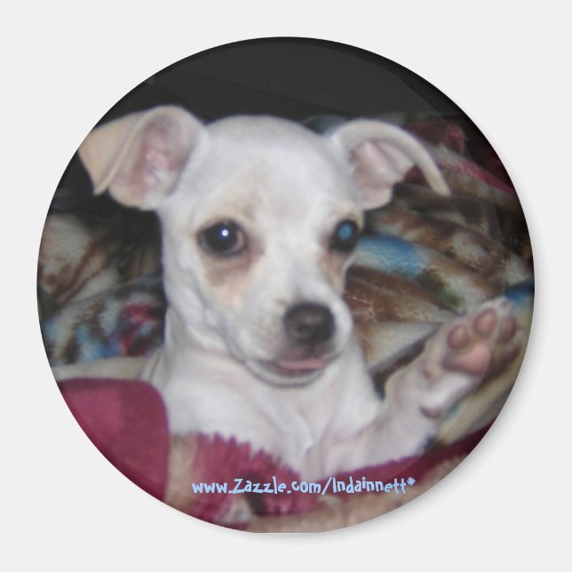 Cute Dog-Magnet. Magnet (Front)