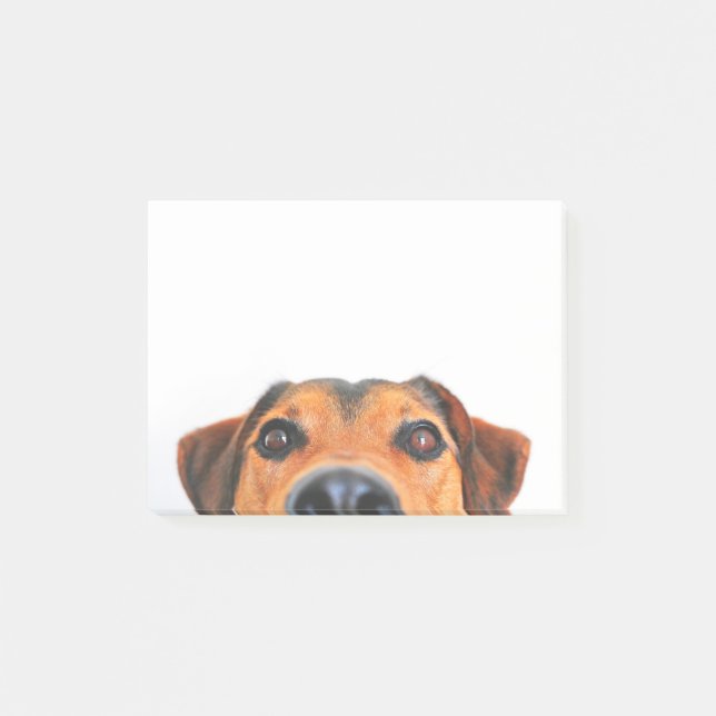 Cute dog nose horizontal post-it notes (Front)