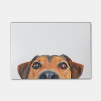 Cute dog nose horizontal post-it notes