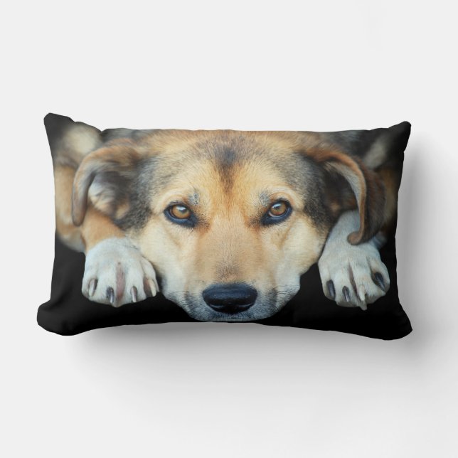 Cute dog on any colour background lumbar cushion (Front)