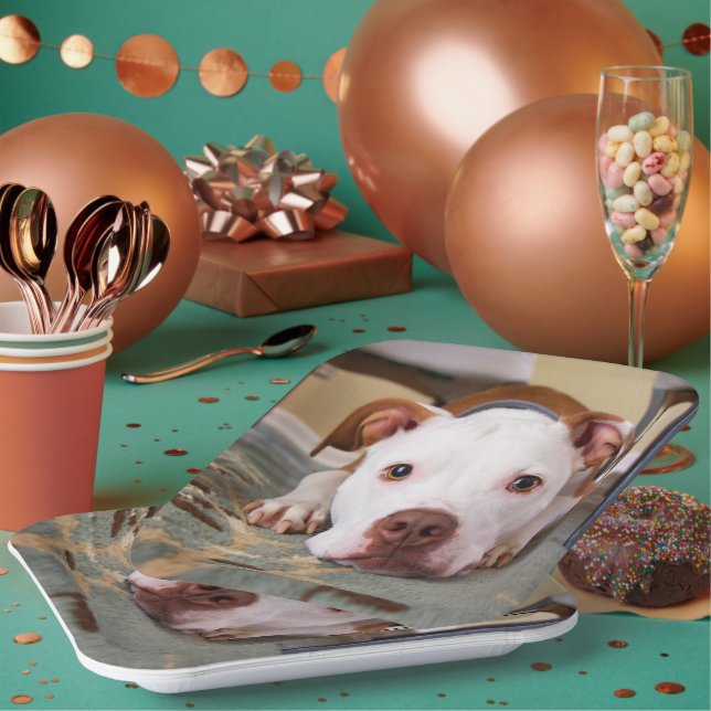 Cute Dog Paper Plate (Multi)