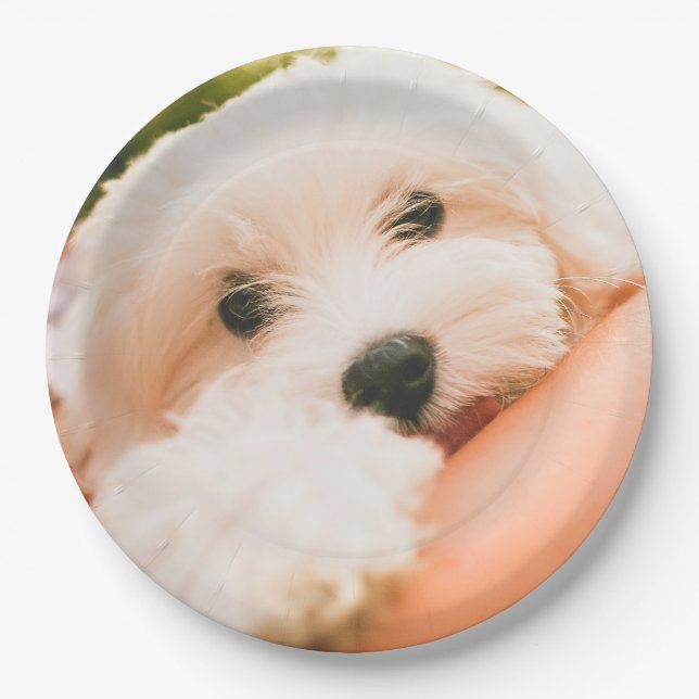 Cute Dog paper plates 2 (Front)