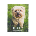 Cute Dog Personalised Pet Photo Custom