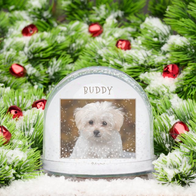 Cute Dog Pet 2 Photos Star Pattern Christmas Snowglobe (Christmas)