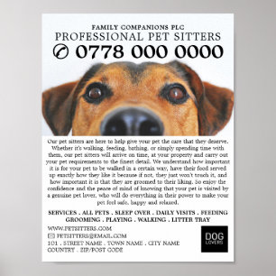 Cute Dog, Pet Sitting Service Advertising Poster