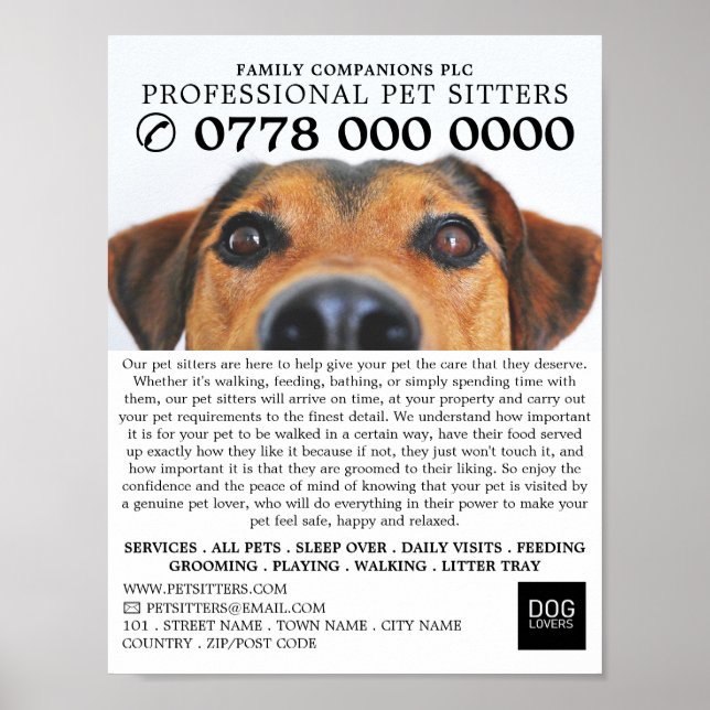 Cute Dog, Pet Sitting Service Advertising Poster (Front)