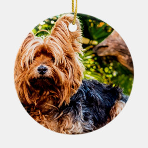 Cute Dog Pet Yorkie Peace Love Destiny Fun Art Ceramic Tree Decoration