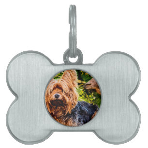 Cute Dog Pet Yorkie Peace Love Destiny Fun Art Name Tag