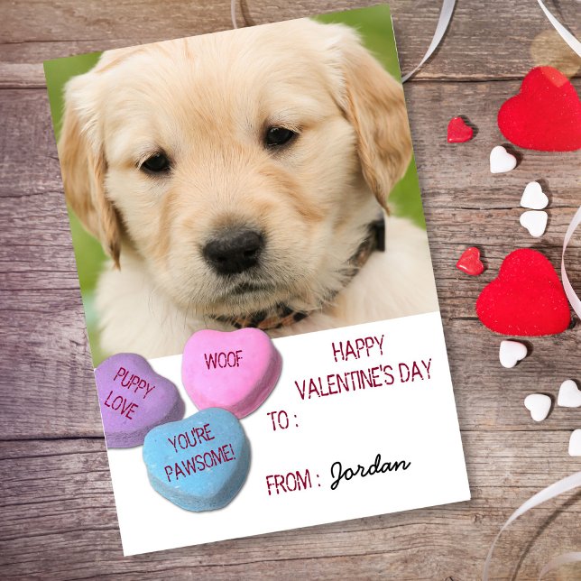 Cute Dog Photo Classroom Valentine Candy Hearts Holiday Postcard (Creator Uploaded)
