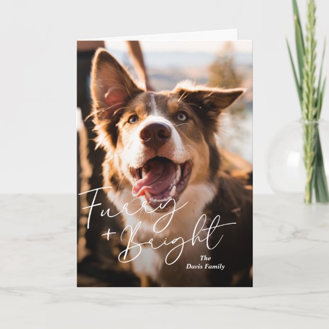 Cute Dog Photo Modern Christmas Holiday Card (Front)