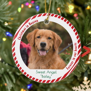 Cute Dog Photo Pet Memorial Keepsake Christmas Ceramic Ornament