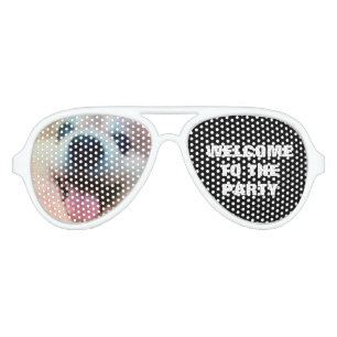 Cute Dog Photo Pomeranian Birthday Party Aviator Sunglasses