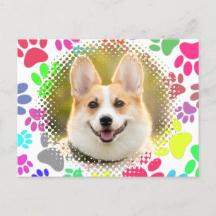 Cute Dog Picture Paw Pattern Custom Postcard