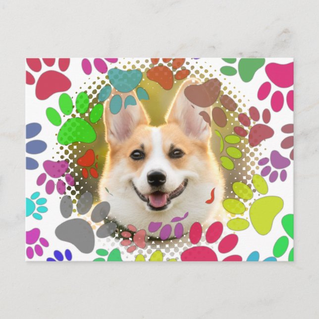 Cute Dog Picture Paw Pattern Custom  Postcard (Front)