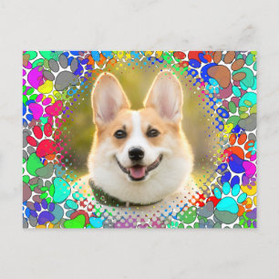 Cute Dog Picture Paw Print Pattern Custom Postcard