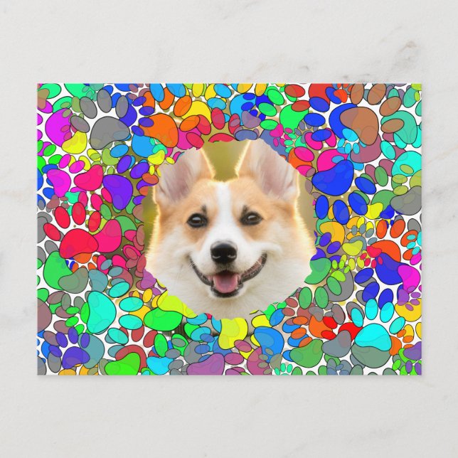 Cute Dog Picture Paw Print Pattern Custom  Postcard (Front)