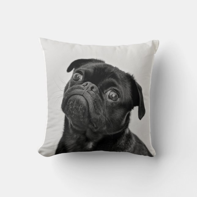 Cute dog  pug  pillow (Front)