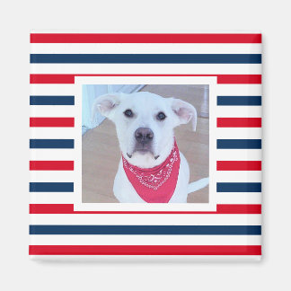 Cute Dog Red White Blue Stripes Patriotic Photo Magnet