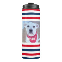 Cute Dog Red White Blue Stripes Patriotic Photo