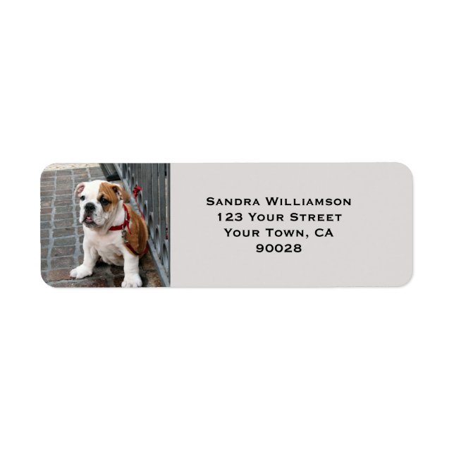 Cute dog return address label (Front)