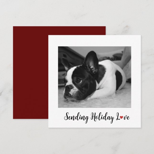 Cute Dog Sending Holiday Love (Front/Back)