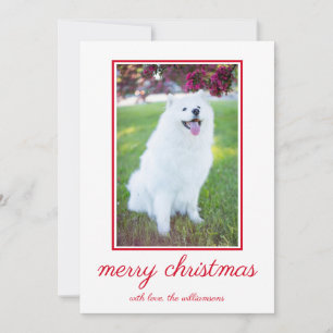 Cute Dog Simple Photo Christmas Holiday Card