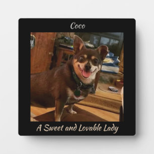 Cute Dog Square Plaque