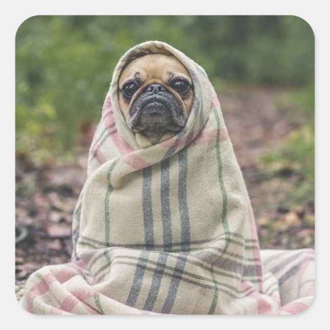 Cute Dog stickers 2 (Front)