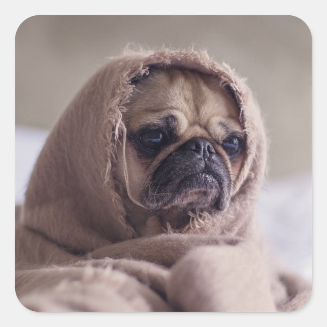 Cute Dog stickers 3 (Front)