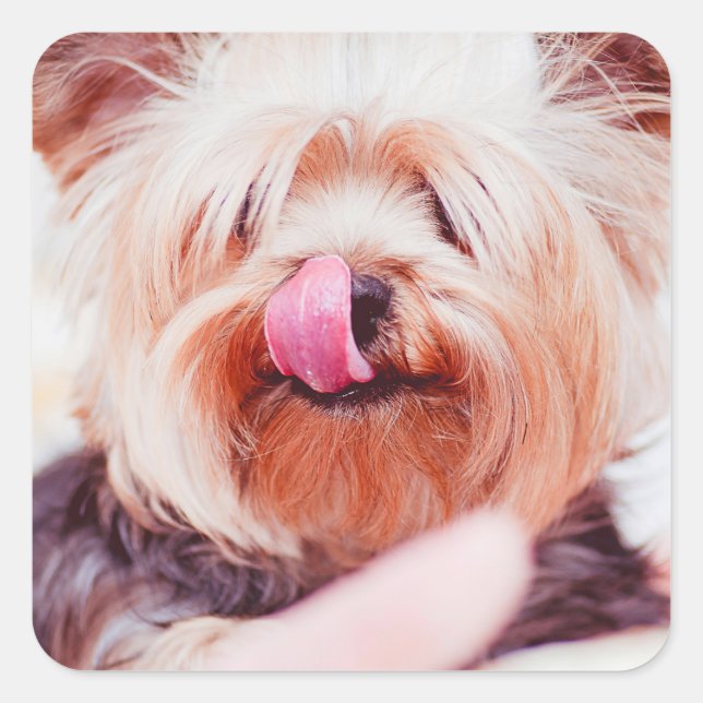 Cute Dog stickers 8 (Front)