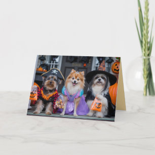 Cute Dog Trick-or-Treat Halloween Card