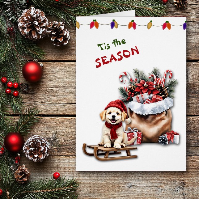 Cute Dog Waggy Tails and Treats Christmas Card (Creator Uploaded)