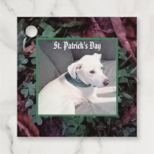 Cute Dog Wearing Green Scarf Shamrocks Clovers  Favour Tags