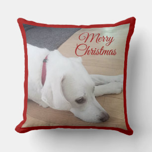 Cute dog Wearing Red Collar Christmas Cushion