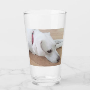 Cute dog Wearing Red Collar Christmas Glass